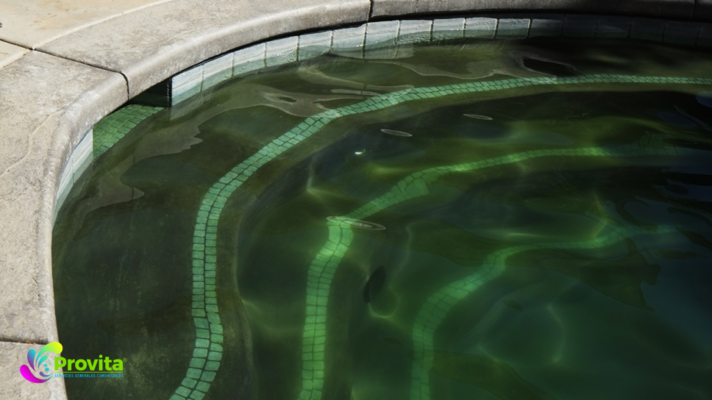 piscinas eliminar algas